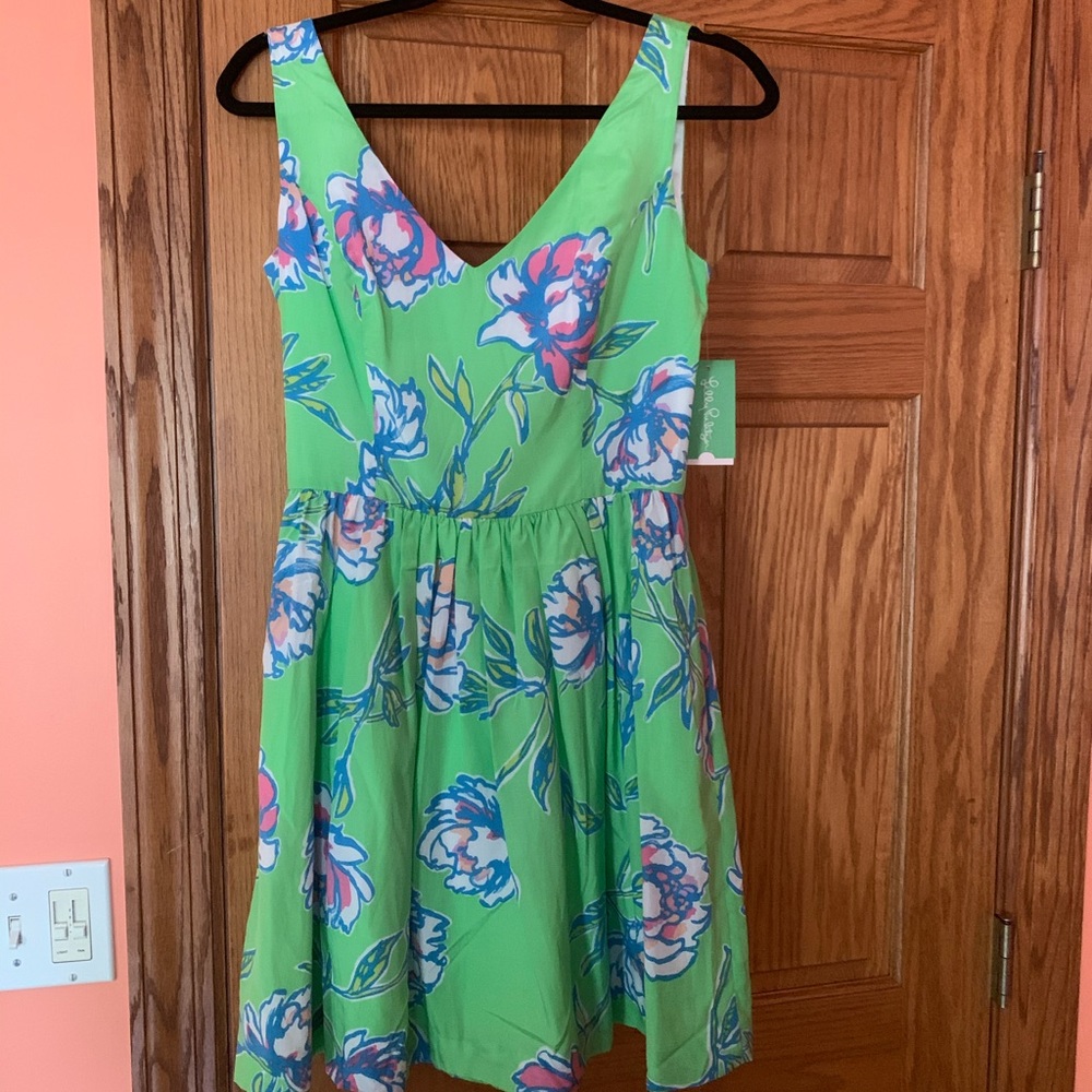 NWT Lilly Pulitzer Roswell Dress size 4